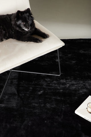 Venture Home Nina Polyester - 230*160- -Rektangulär-Svart