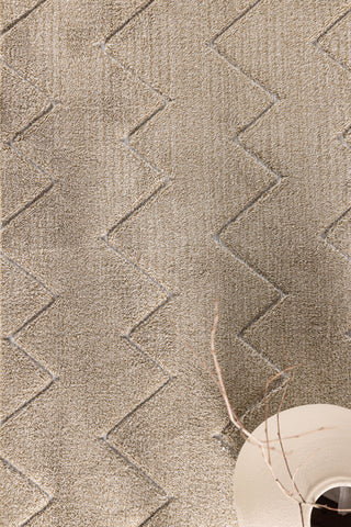 Venture Home Fia Polyester Shaggy - 290*200- -Rektangulär-Brun