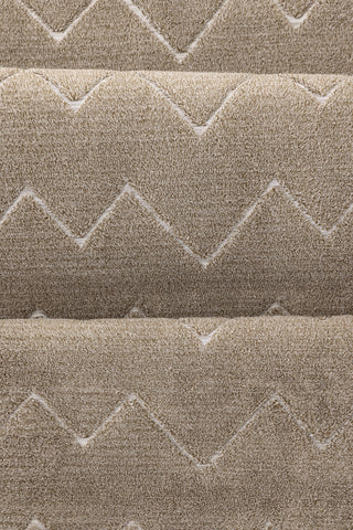 Venture Home Fia Polyester Shaggy - 230*160- -Rektangulär-Brun