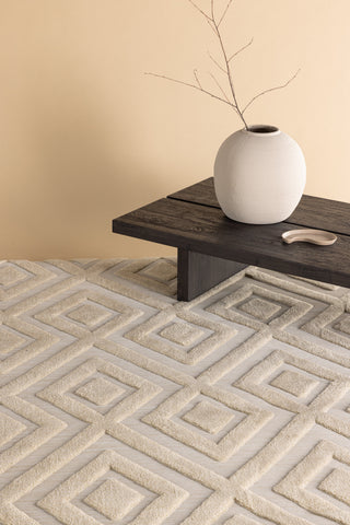 Venture Home Pia Polyester Shaggy - 230*160- -Rektangulär-Beige