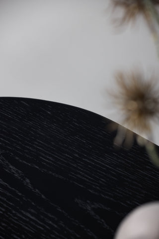 Vind Fjällbacka - Låglagring - MDF Faner / Svart Ek/faner