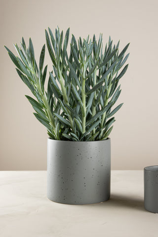 Venture Home Sane Pot - Mörkgrå/Svarta Prickar - 18*18*17cm