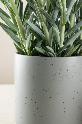 Venture Home Sane Pot - Mörkgrå/Svarta Prickar - 18*18*17cm