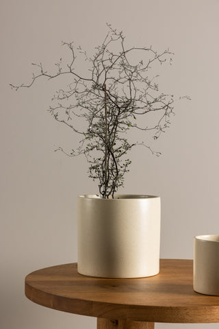 Venture Home Sane Pot - Beige/Svarta Prickar - 18*18*17cm