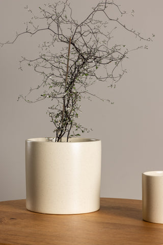 Venture Home Sane Pot - Beige/Svarta Prickar - 18*18*17cm