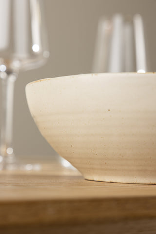 Venture Home Active Bowl 2-pack - Beige/Black Dots - 19*7Hcm