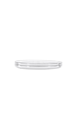 Venture Home Shine Plate 2-pack - Klarglas - 21*3Hcm