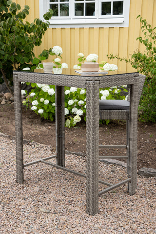Venture Home Alo Bartable Steel - Grå Wicker Rektangulär 60,5
