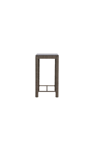 Venture Home Alo Bartable Steel - Grå Wicker Rektangulär 60,5