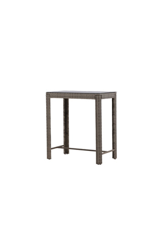 Venture Home Alo Bartable Steel - Grå Wicker Rektangulär 60,5
