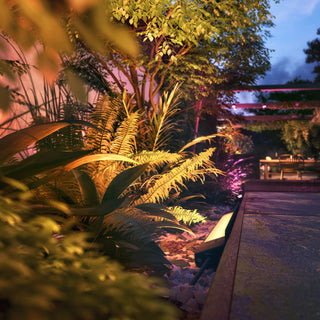 Philips Hue Amarant Garden floodlight Wh/Color 12V