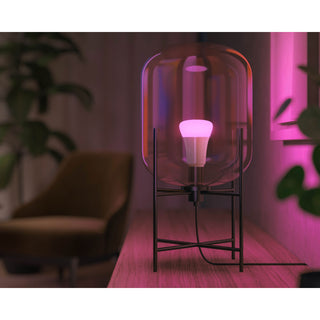 Philips Hue White Color Ambiance E27 800lm 2-pack