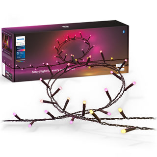 Philips Hue Festavia ljusslinga Inom-/utomhus 500 LED 40m