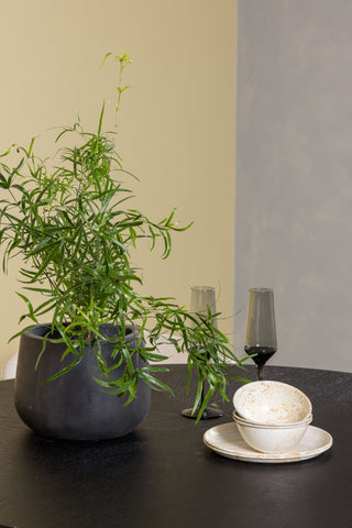 Venture Home Copenhagen Matbord - Svart / Svart Faner +Berit Stol - Svart / Beige Sammet _4