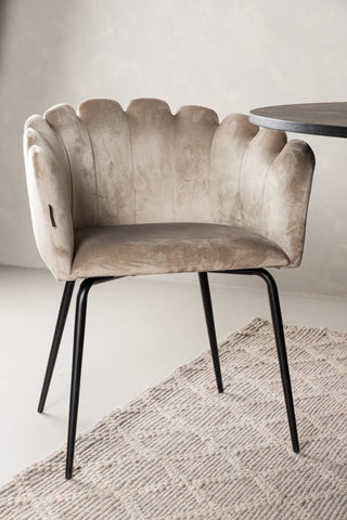 Venture Home Bootcut Ovalt matbord - Svart / Svart Fanéer +Limhamn Light Chair - Svart / Beige sammet _4