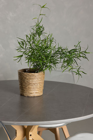 Venture Home Piazza Matbord - Natur / Mörkgrå Spraystone +Edvin Matstol - Natur / PET (sittdyna vit) PET-yta, sits med vanlig svamp _4