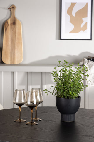 Venture Home Olivia Matbord - Svart / Svart Faner +Tvist Matstol - Beige / Beige PU _4
