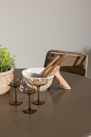 Venture Home Santa Fe Matbord ø120 - Roasty +Lindos - Fåtölj - Svart Alu / Latte rep _4