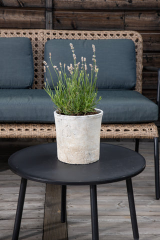 Venture Home Paola Soffset - Black Steel / Nature Wicker / Black Cushion