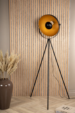 Sök -Golvlampa - Svart/Svart / Mässing