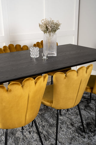 Venture Home Dipp Matbord - 180*90cm - Svart Faner / svarta ben m mässingsdipp +Limhamn Light - Stol - Guld Sammet_6