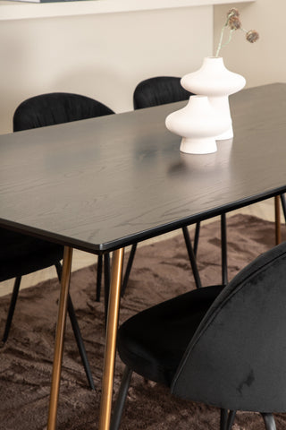Venture Home Petra Matbord , Distressed Copper Black Faner+Wrinkles Dining Chair , Black Ben , Black Velvet_6
