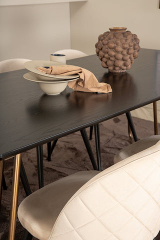 Venture Home Petra Matbord , Distressed Copper Black Faner+Velvet Stitches Stol , Black Beige Velvet_6