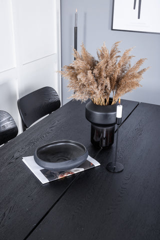 Venture Home Elegant förlängningsbord Svart Borstad - 190*95 +Polly Matstol 2-pack - Svart / Svart _6
