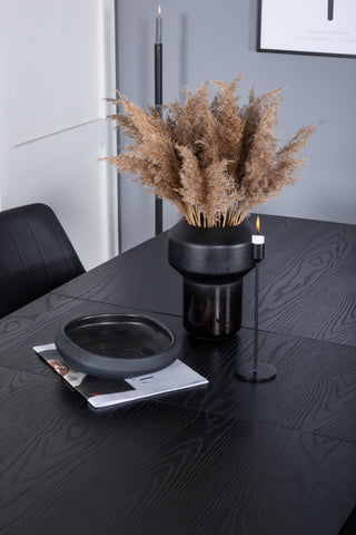 Venture Home Guld Förlängningsbord - 180/220*85*H76 Svart Faner - Svarta ben - Mässingsdetaljer +Comfort - Matstol 2-pack - svart/Svart _4